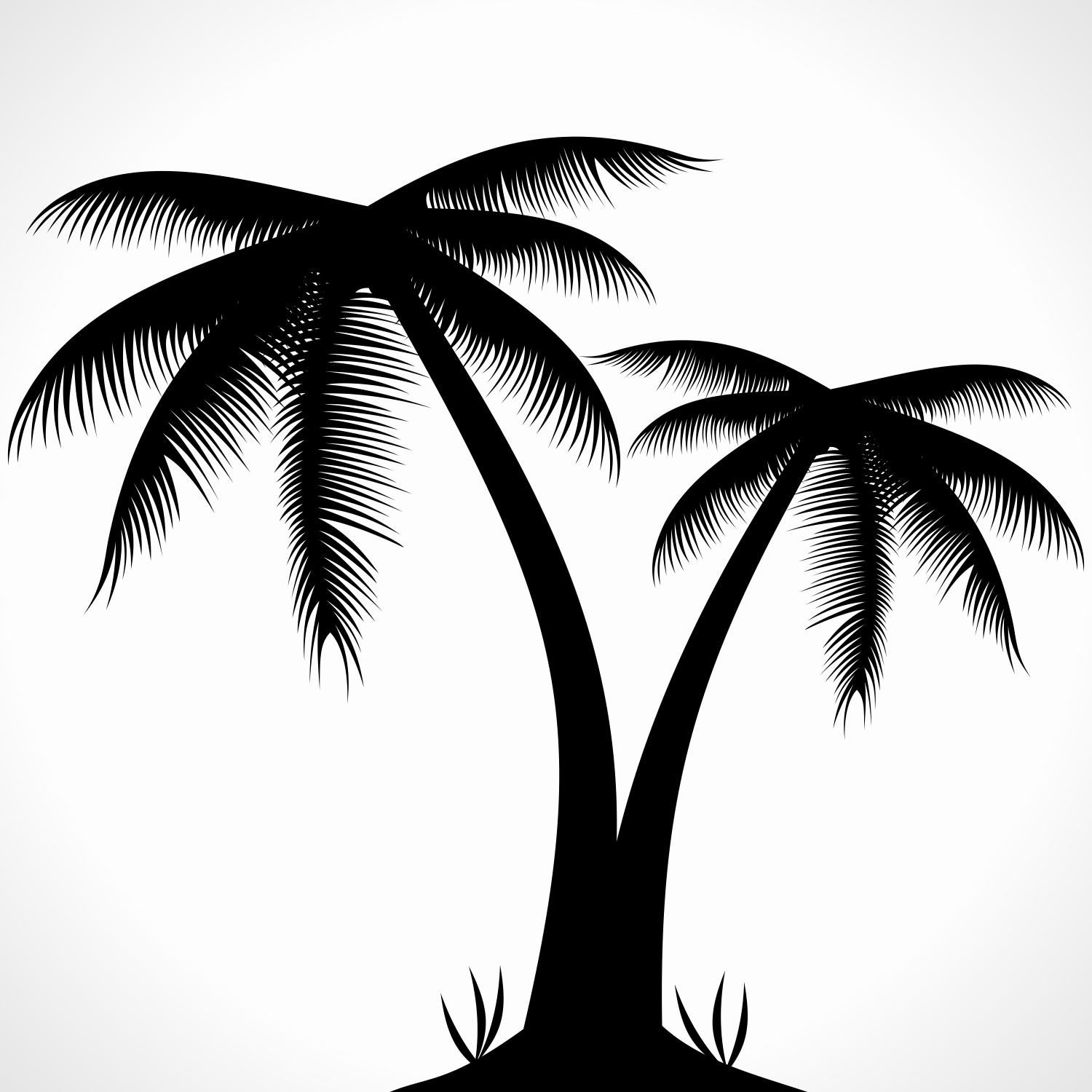 Palm Tree Logo Images.