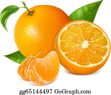 Oranges Clip Art.