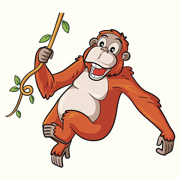 Best Orangutan Illustrations, Royalty.