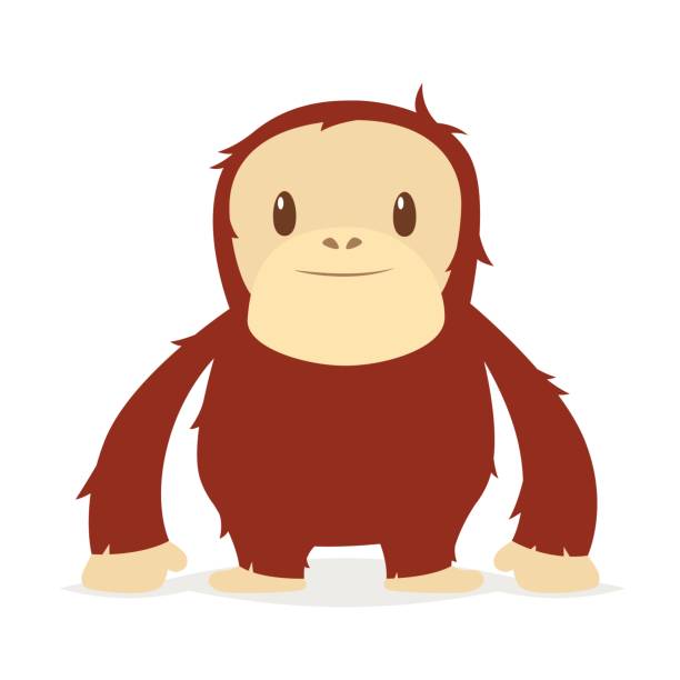 Best Orangutan Illustrations, Royalty.
