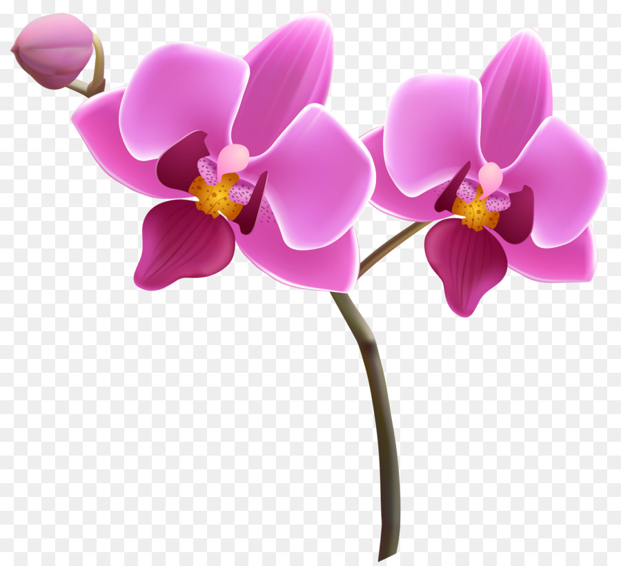 Flowers Clipart Background png download.