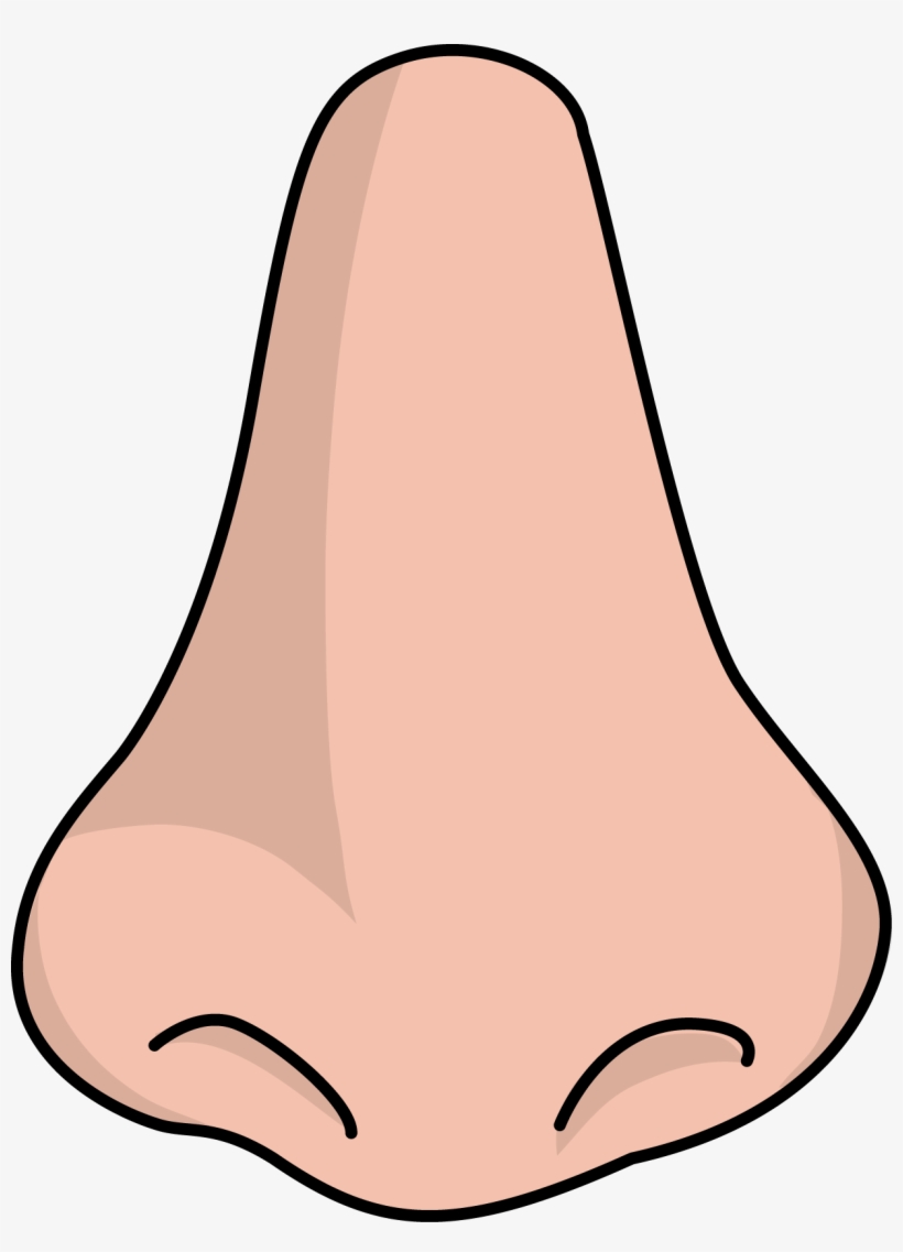 Clipart Png Nose.