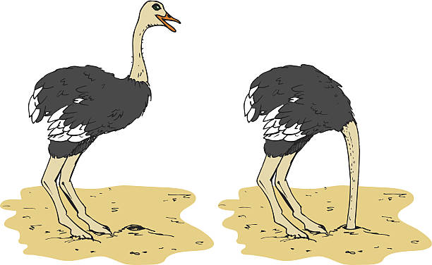 Head In The Sand Illustrations, Royalty.