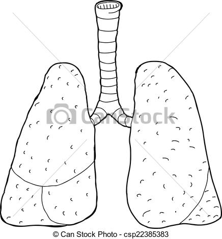 Vector of Outlined Lungs.