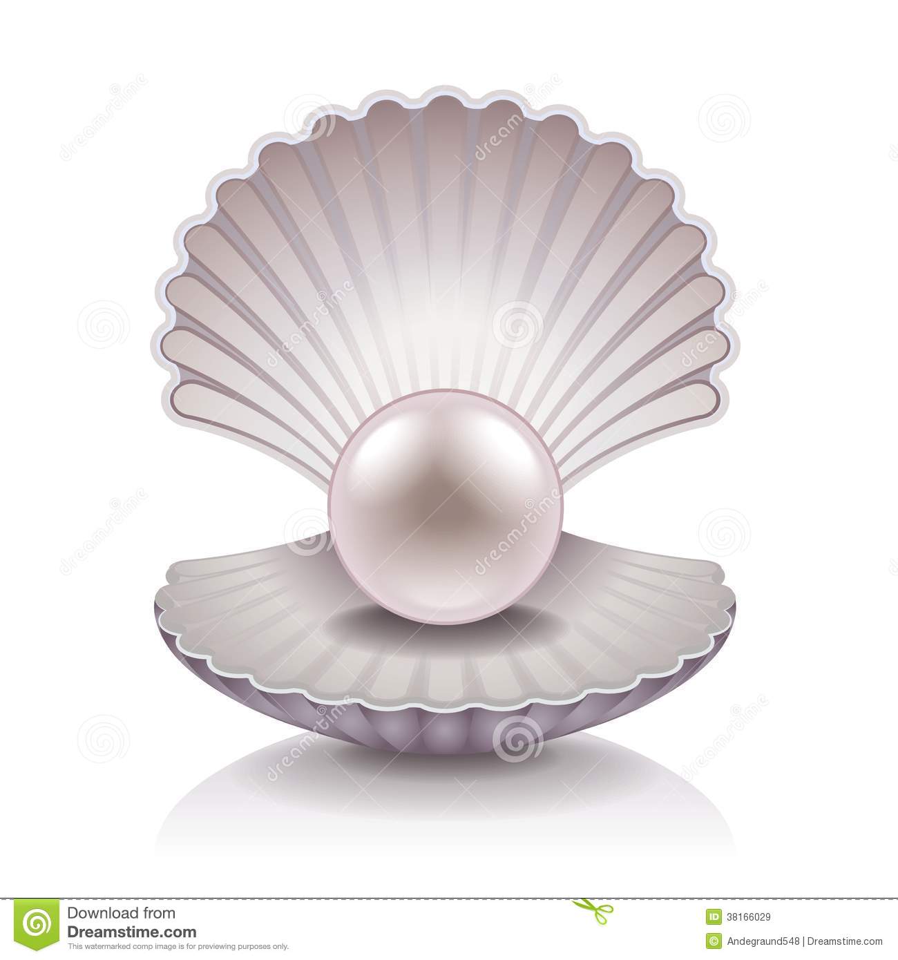 Oyster Pearl Clipart.
