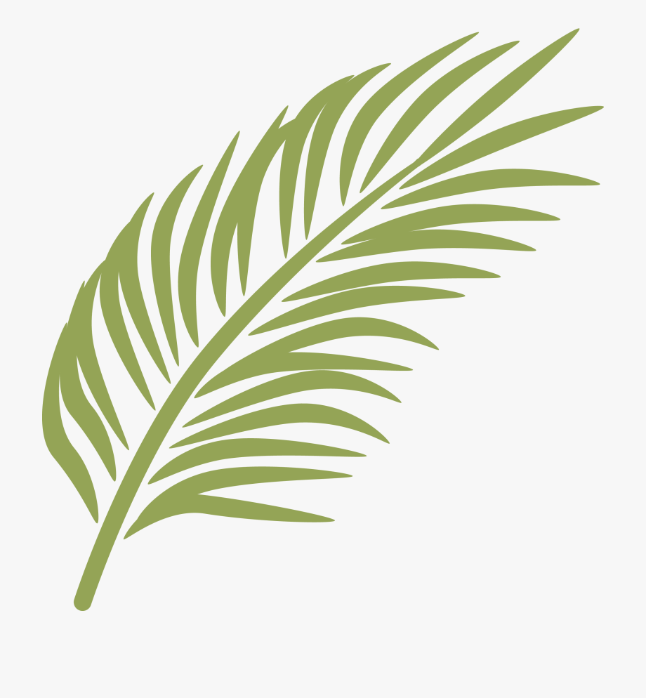clipart palm leaves 20 free Cliparts | Download images on Clipground 2021