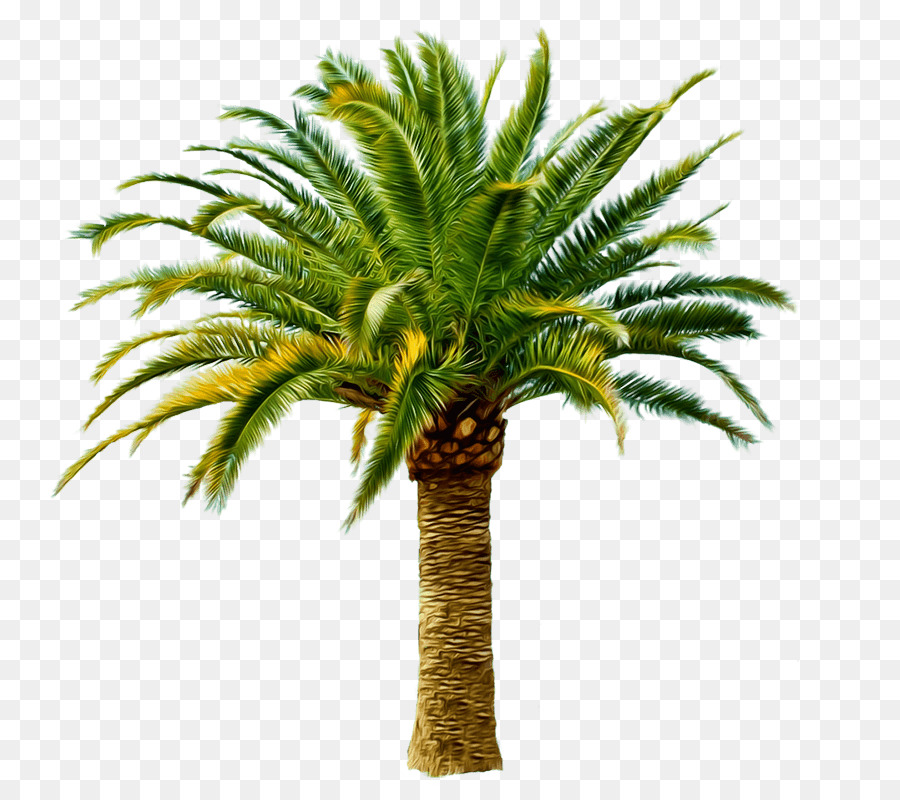 Palm Oil Tree clipart.