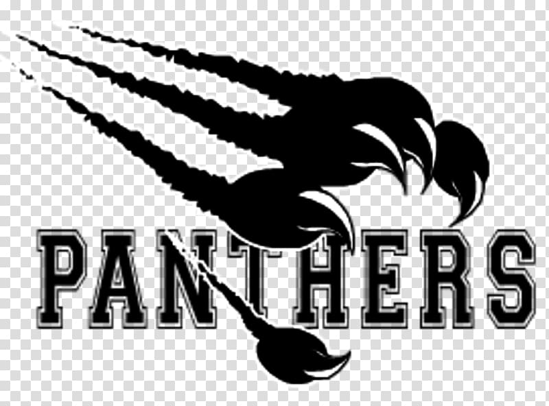 Carolina Panthers Thonon Black Panthers American football.