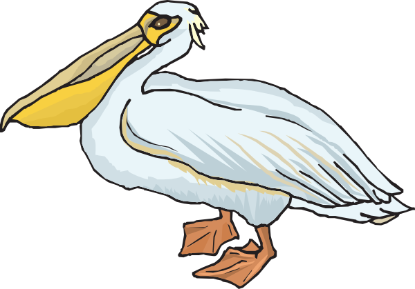 Free Pelican Cliparts, Download Free Clip Art, Free Clip Art.