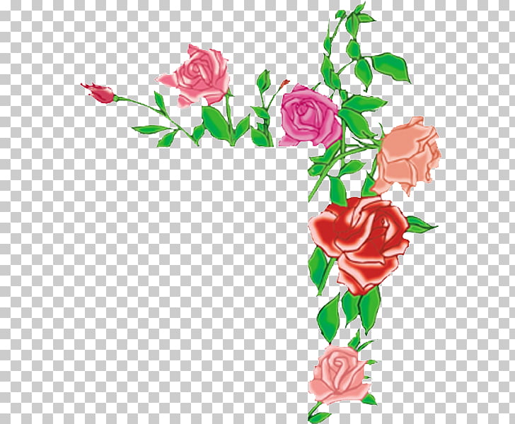 Flower , Flower Photoshop Background , pink, beige, and red.