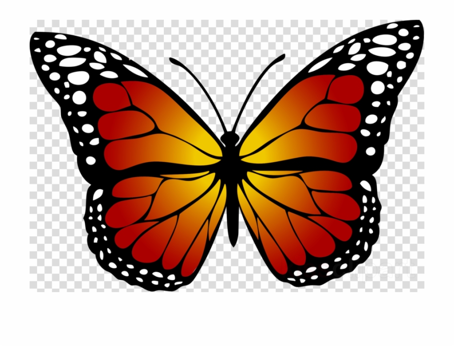 Yellow Butterfly Clipart Butterfly Insect Clip Art.