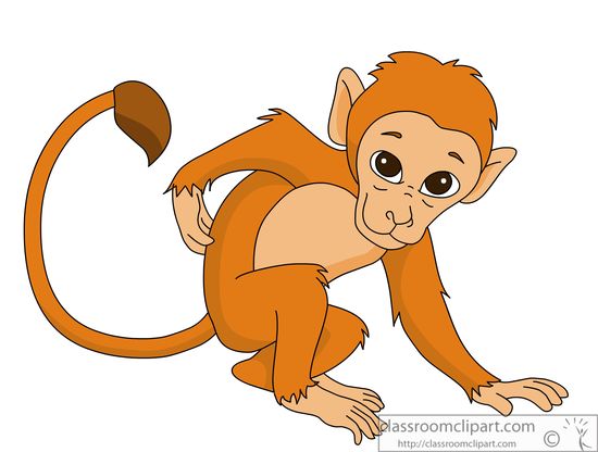 Clipart Picture Of Monkey.