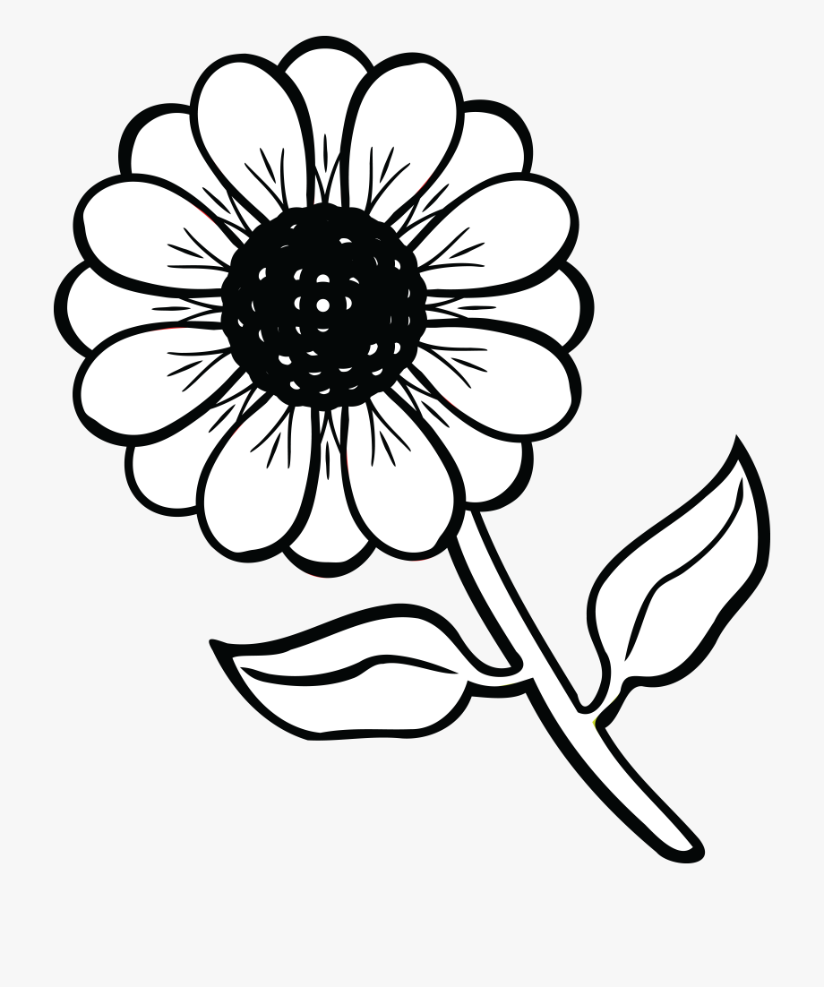 Free Clipart Of A Daisy Flower.