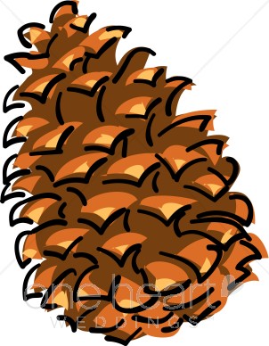 Pine Cone Clipart.