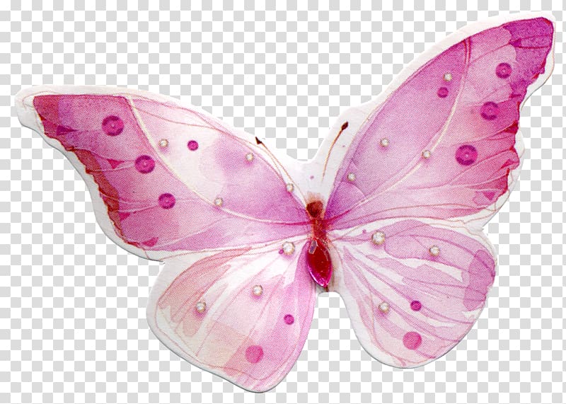Pink butterfly, Butterfly , Pink Butterfly transparent background.