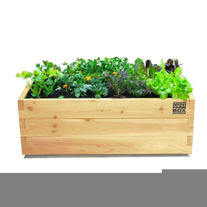 Planter Box Clipart.