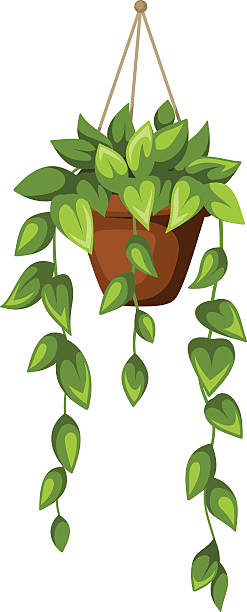 Clipart Planter 20 Free Cliparts Download Images On Clipground 2024 