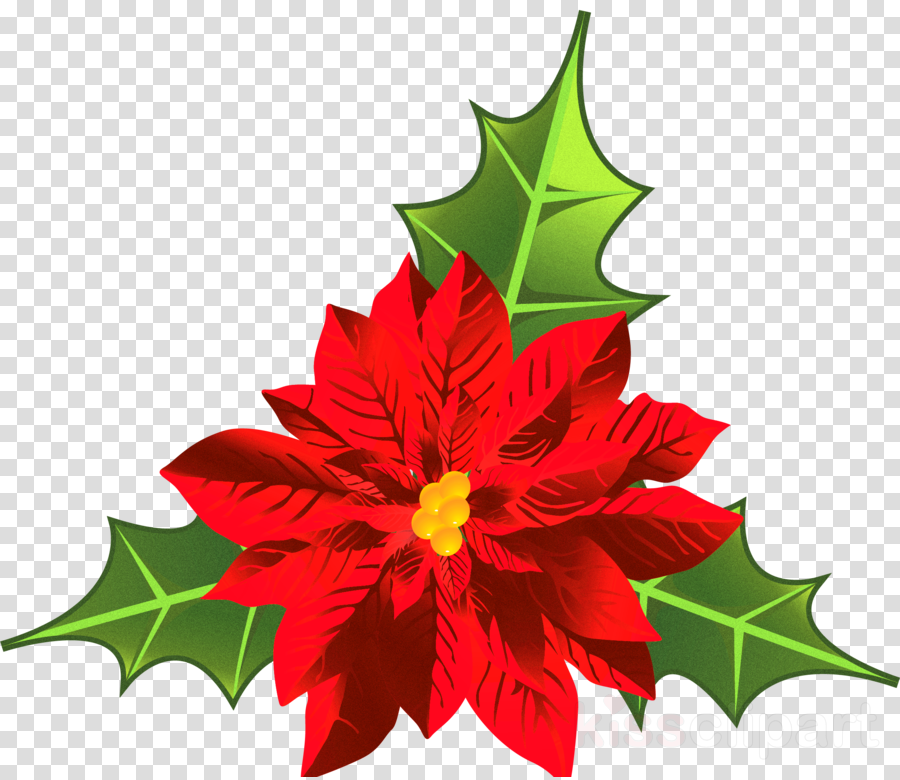 Free Christmas Poinsettia Border Clipart 10 Free Clip - vrogue.co