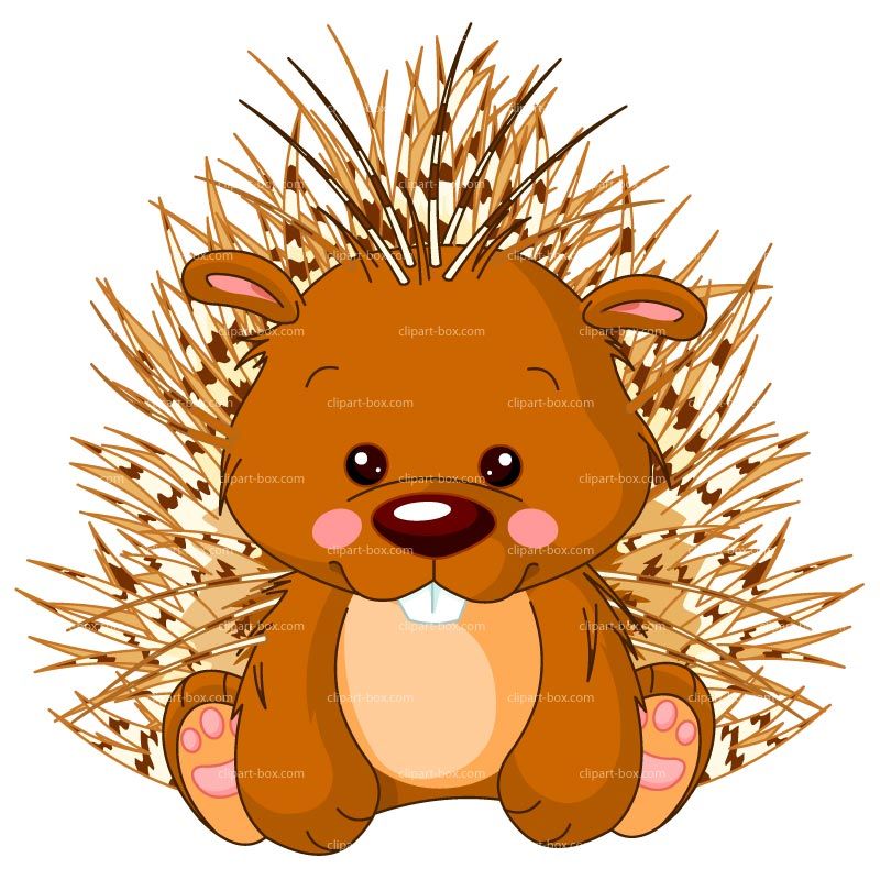 cartoon porcupine clipart 10 free Cliparts Download images on