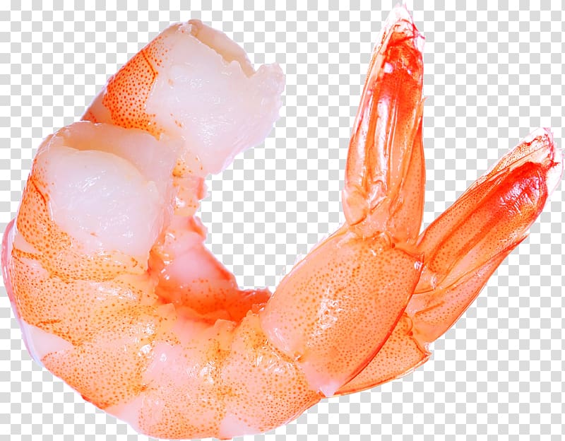 Prawn cocktail Shrimp Lobster Seafood, Shrimps transparent.