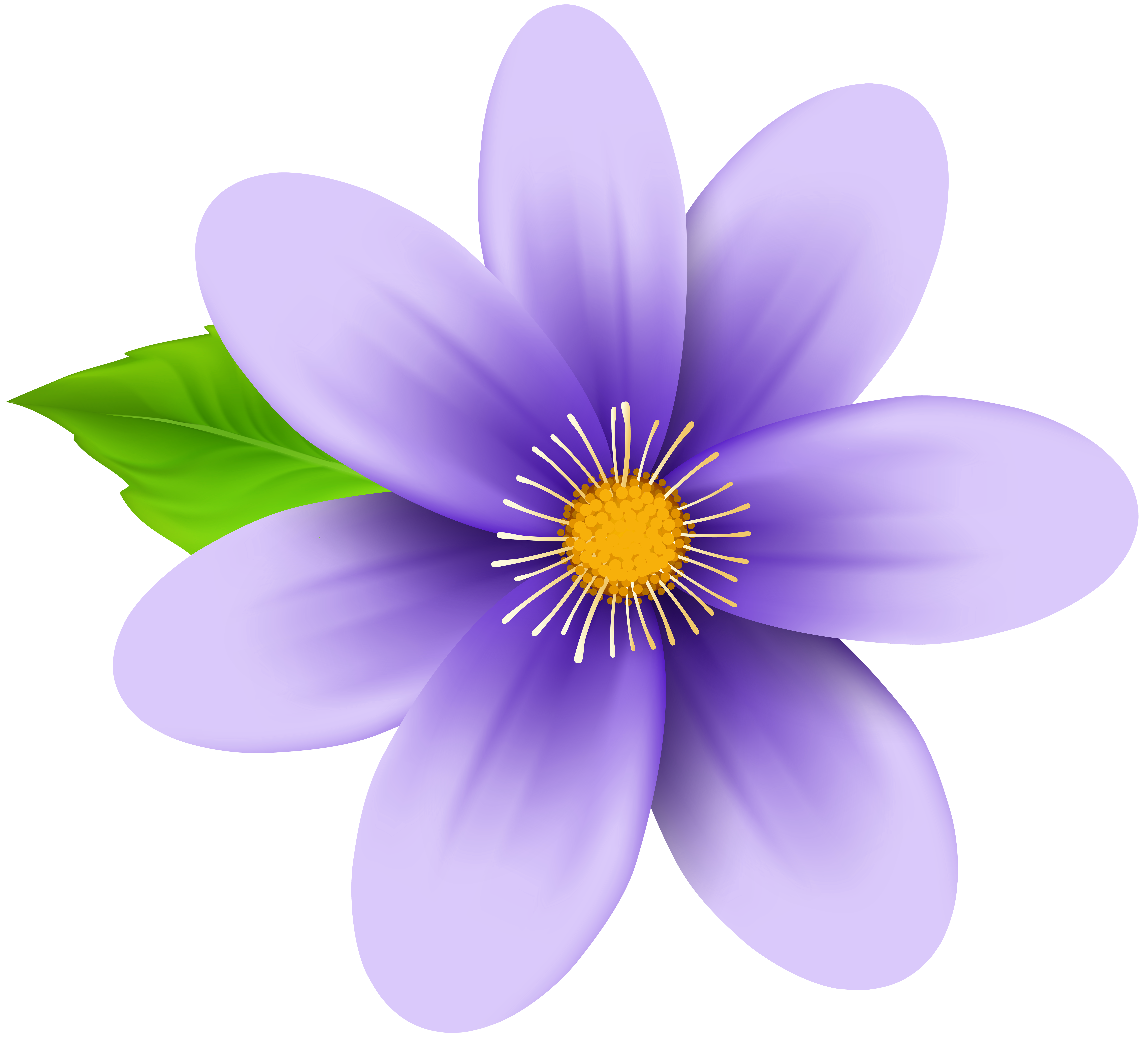 Purple Flower Clip Art Image.
