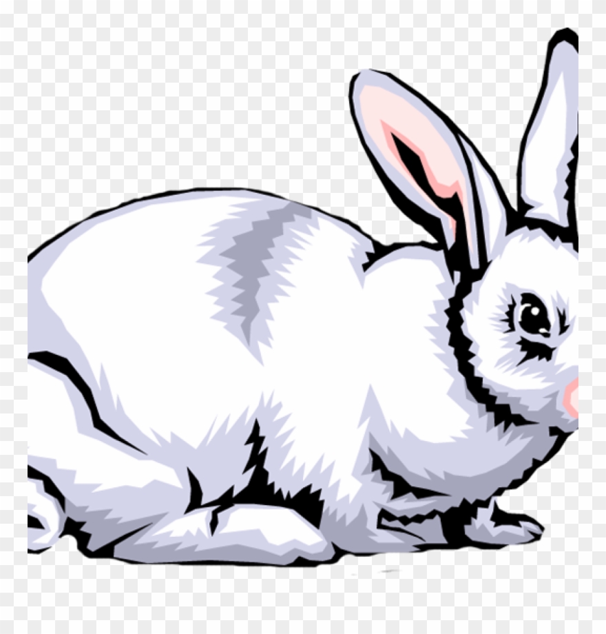 Rabbit Clipart Png & Free Rabbit Clipart.png Transparent.