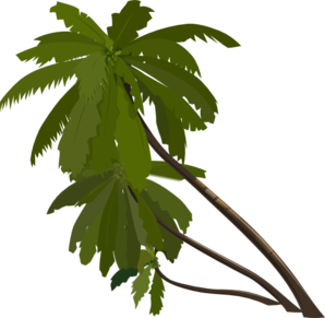 clipart rainforest trees 20 free Cliparts | Download images on