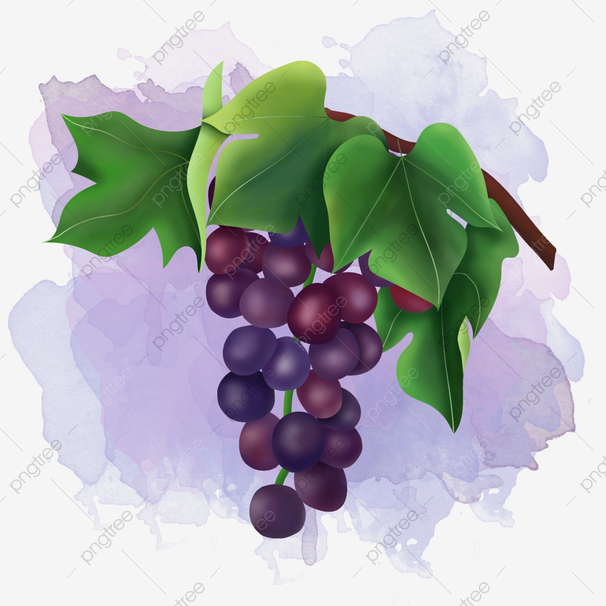 Delicious Raisins, Grape, Raisin PNG Transparent Clipart Image and.