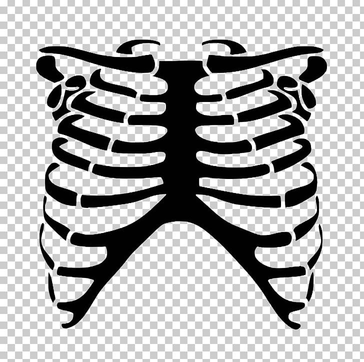 Rib Cage Human Skeleton Skull Bone PNG, Clipart, Angle.