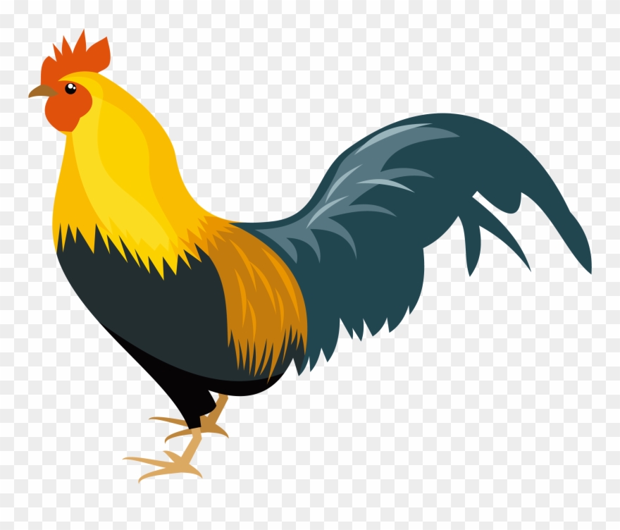 Chicken clipart rooster, Chicken rooster Transparent FREE.