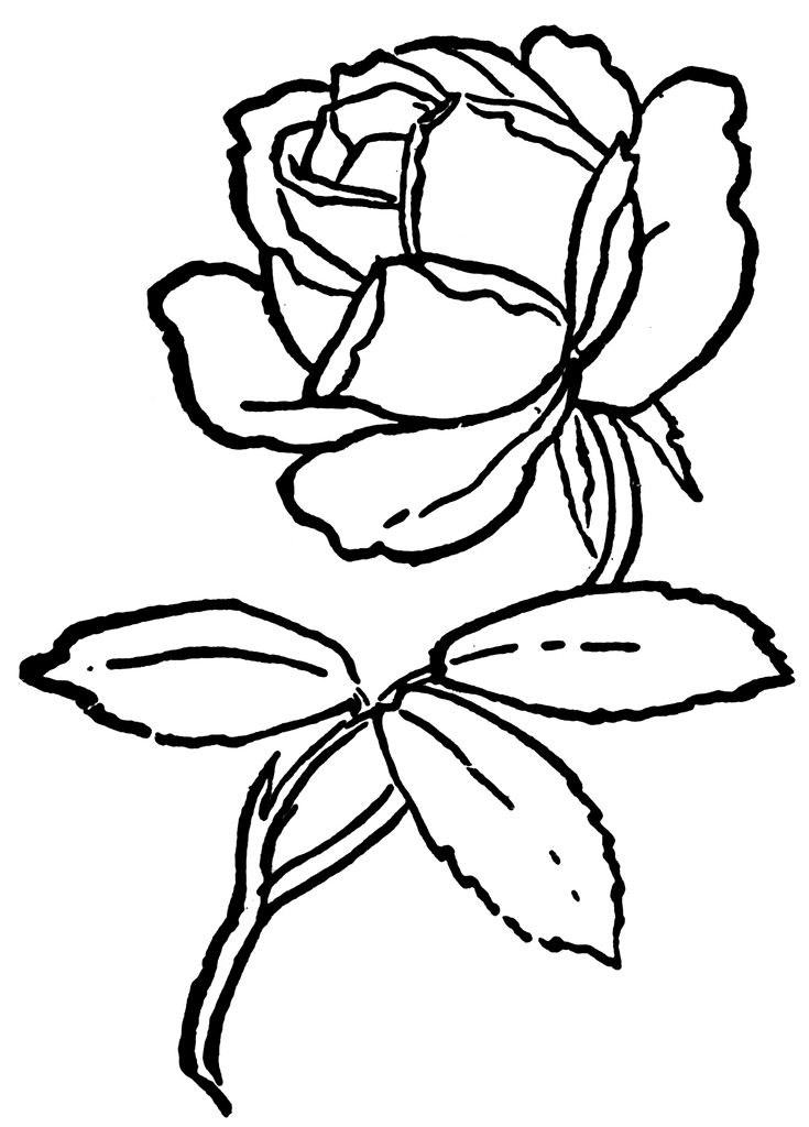 Rose black and white rose clip art free clipart 2.