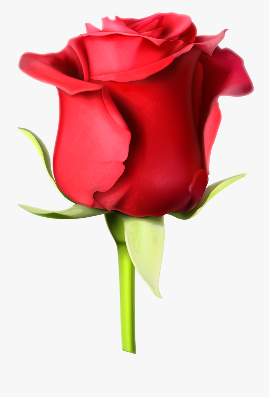 Rose Images Hd Download Clipart , Png Download.