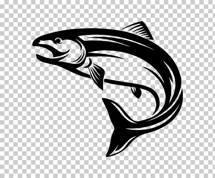 Salmon , fish PNG clipart.