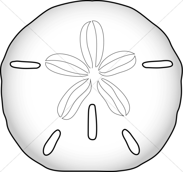 Sand Dollar.