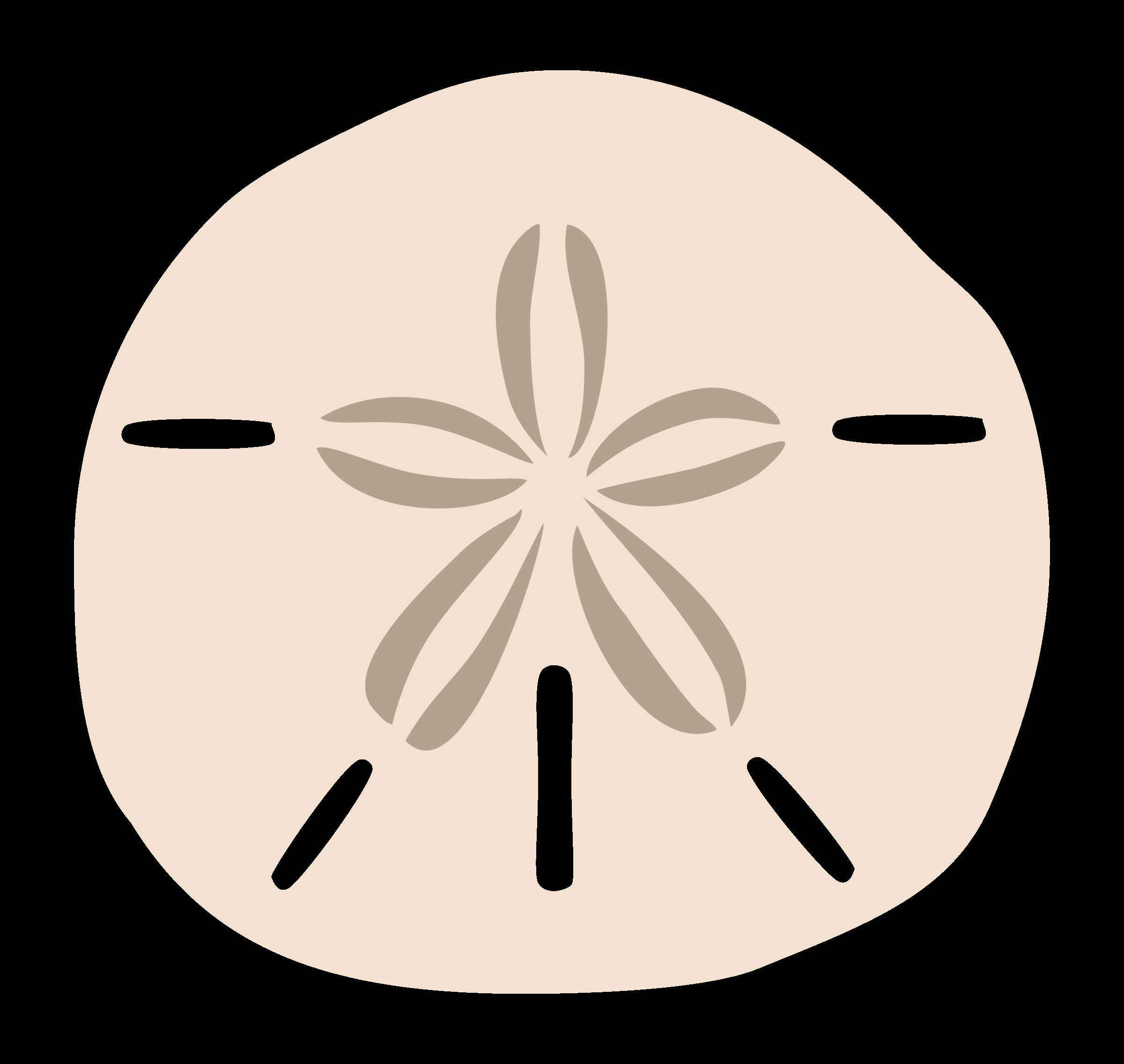 clipart sand dollar 10 free Cliparts | Download images on Clipground 2024