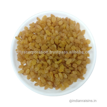 Yellow Sangli Type IV Grade A Standard Round Raisins (RYS001), View yellow  raisin, Private Label/Plain Product Details from ADITYA CORPORATION on.