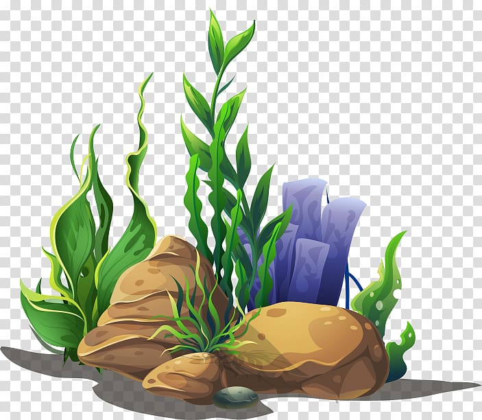 clipart seagrass 10 free Cliparts | Download images on Clipground 2021