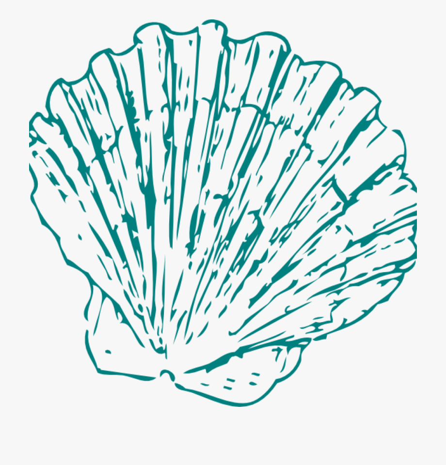 Seashell Clipart Greeen Sea Shell Clip Art At Clker.