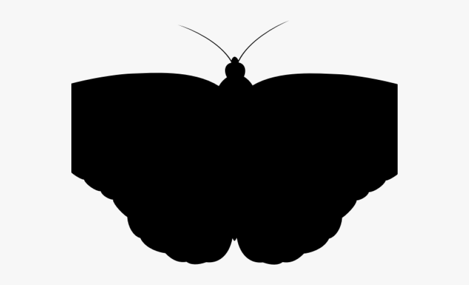 Moth Clipart Shadow.