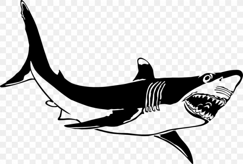 Great White Shark Shark Jaws Clip Art, PNG, 970x657px, Shark.