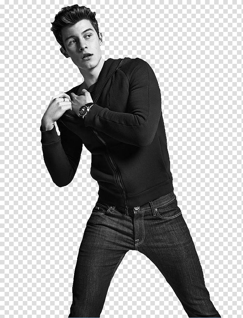 Shawn Mendes transparent background PNG clipart.