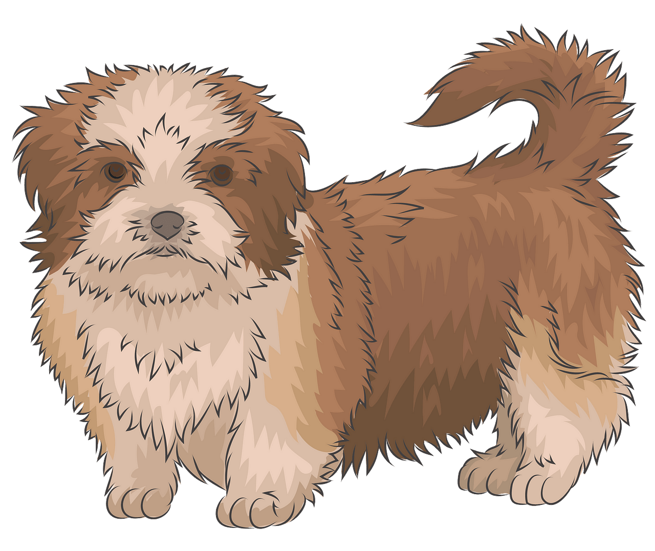 clipart shih tzu 20 free Cliparts | Download images on Clipground 2021