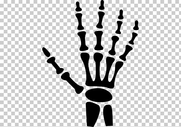 Hand Human skeleton Bone, bones PNG clipart.