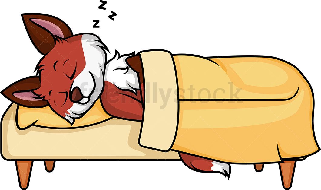 Fox Sleeping In Bed.