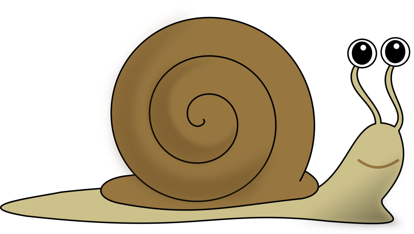Snail,Invertebrate,Snails And Slugs PNG Clipart.