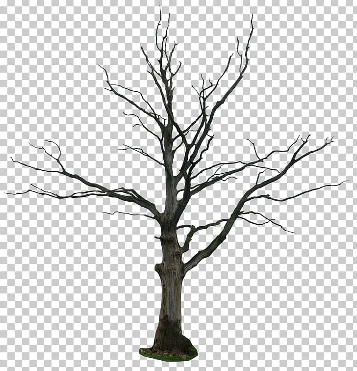 Tree Drawing Snag PNG, Clipart, Art, Black And White, Branch.