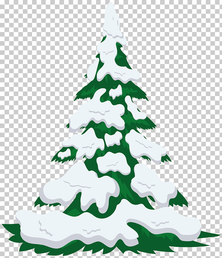 Snow Tree , Snowy Tree Transparent , green pine tree covered.