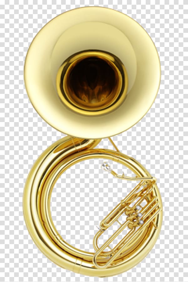 Clipart Sousaphone 10 Free Cliparts Download Images On Clipground 2024