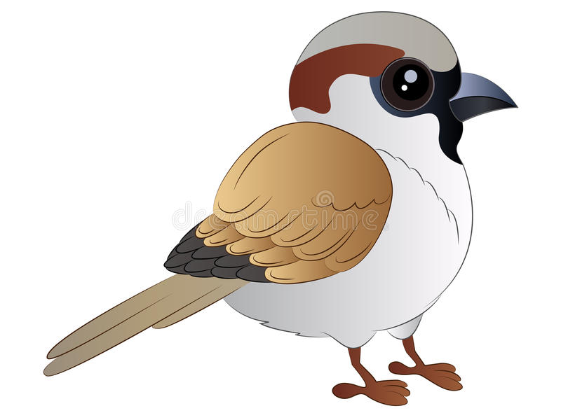 clipart sparrow 20 free Cliparts | Download images on Clipground 2022