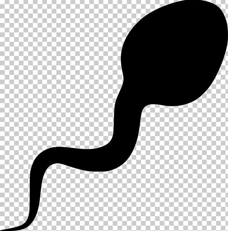 Sperm Semen PNG, Clipart, Black And White, Cdr, Clip Art.
